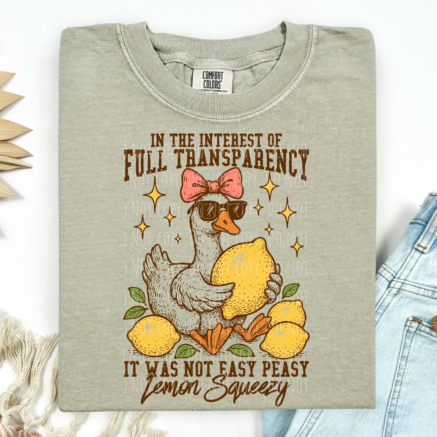 Humor & Sarcasm • In The Interest Of Full Transparency