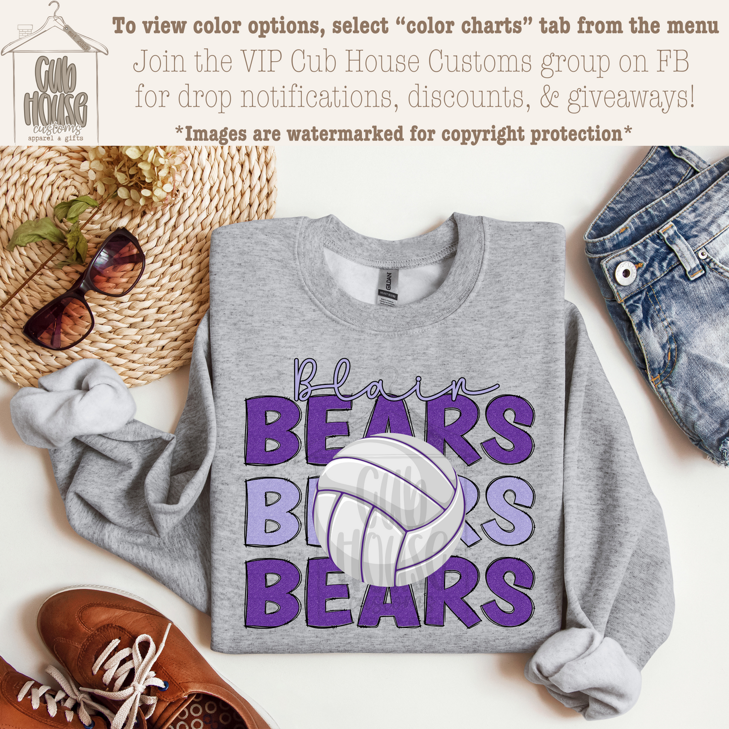 BLAIR BEARS - VOLLEYBALL