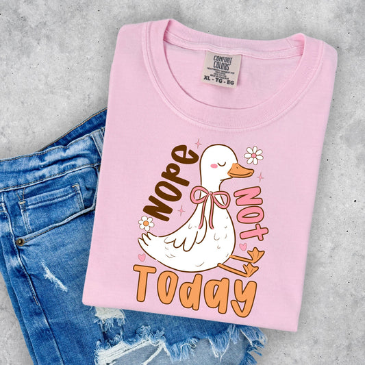 Humor & Sarcasm • Nope Not Today