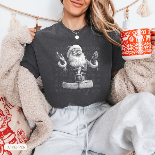 Christmas • Vintage Santa